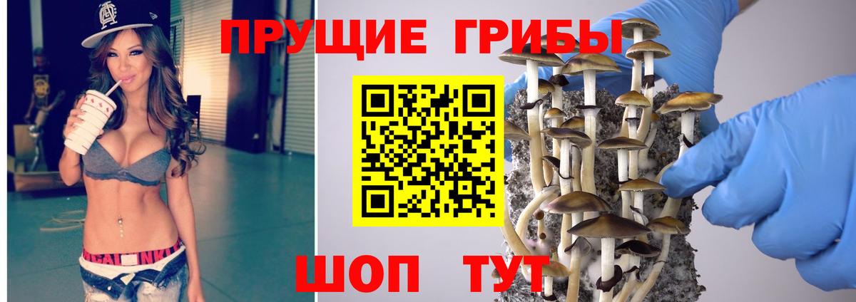 Рузаевка  Псилоцибиновые грибы прущие грибы  Вход с VPN  Псилоцибиновые грибы MAGIC MUSHROOMS 
